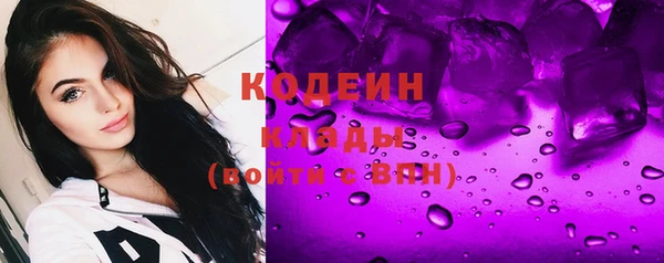 индика Арсеньев