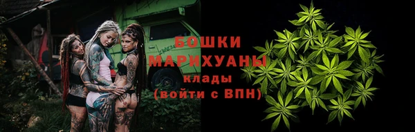 индика Арсеньев