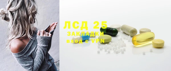 индика Арсеньев