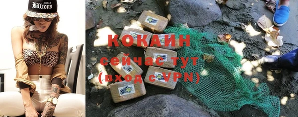 индика Арсеньев