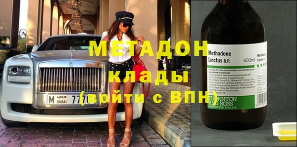 индика Арсеньев