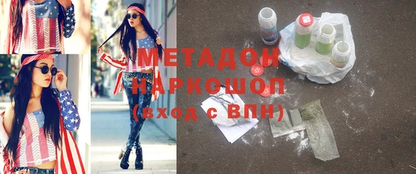 индика Арсеньев