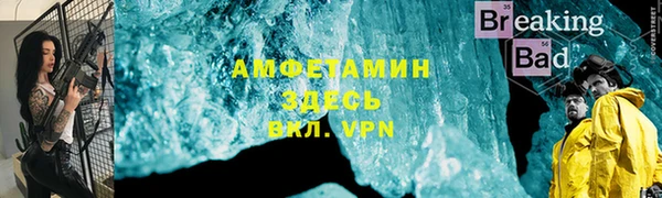 индика Арсеньев