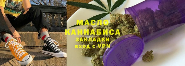 индика Арсеньев