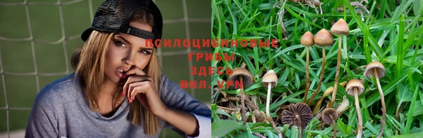 индика Арсеньев