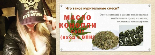 индика Арсеньев
