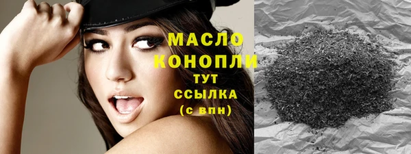индика Арсеньев