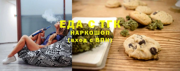 индика Арсеньев