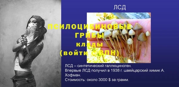 индика Арсеньев
