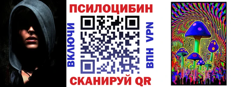 omg ссылка  наркошоп  Рошаль  Псилоцибиновые грибы Cubensis 