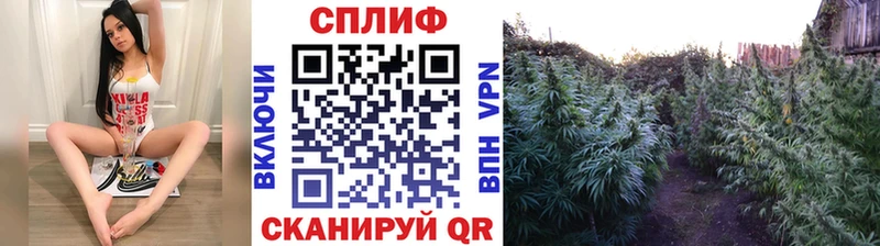 сколько стоит  Рошаль  Шишки марихуана LSD WEED 